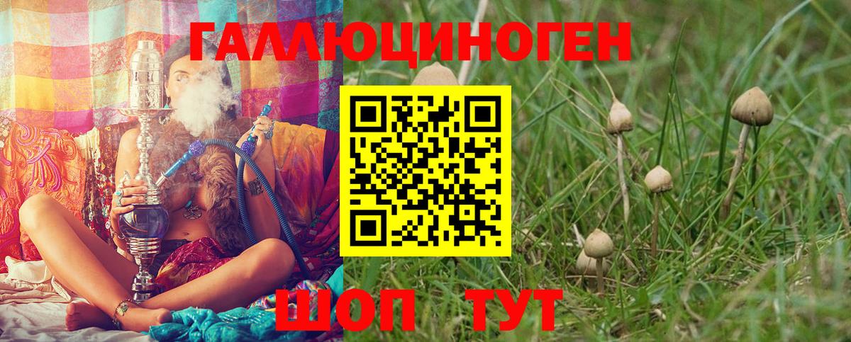 Хабаровск  Псилоцибиновые грибы MAGIC MUSHROOMS  Вход с VPN 